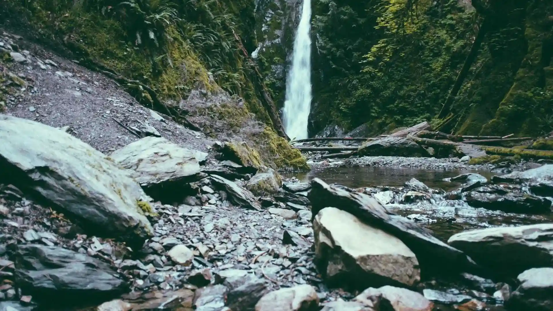 Eco-friendly nature background